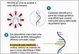 Do vírus atenuado ao RNA entenda como funcionam as vacinas e por que